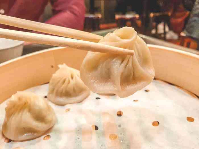 Pizza food lovers destinations travel