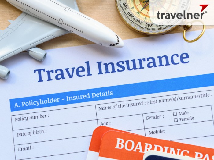 Insurance travel cheap companies